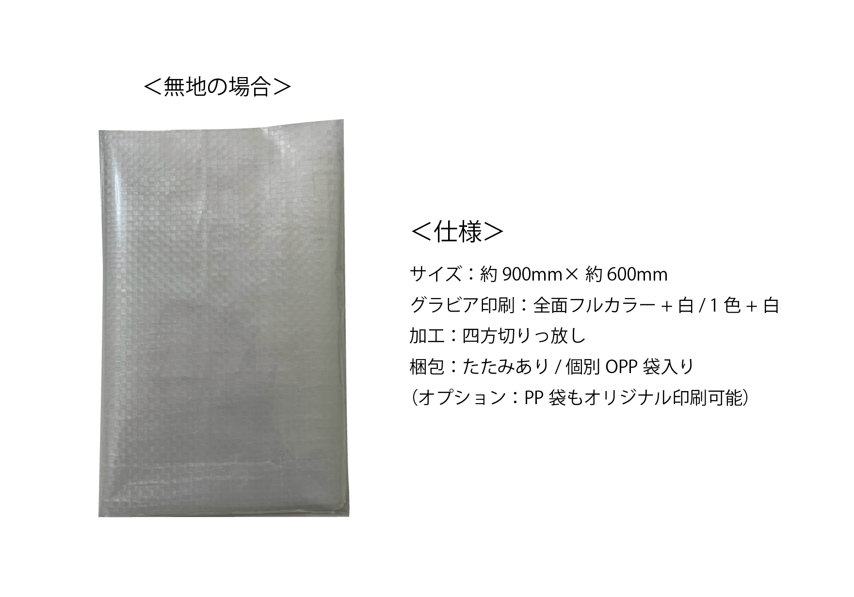 レジャーシート_アートボード 1 のコピー 2